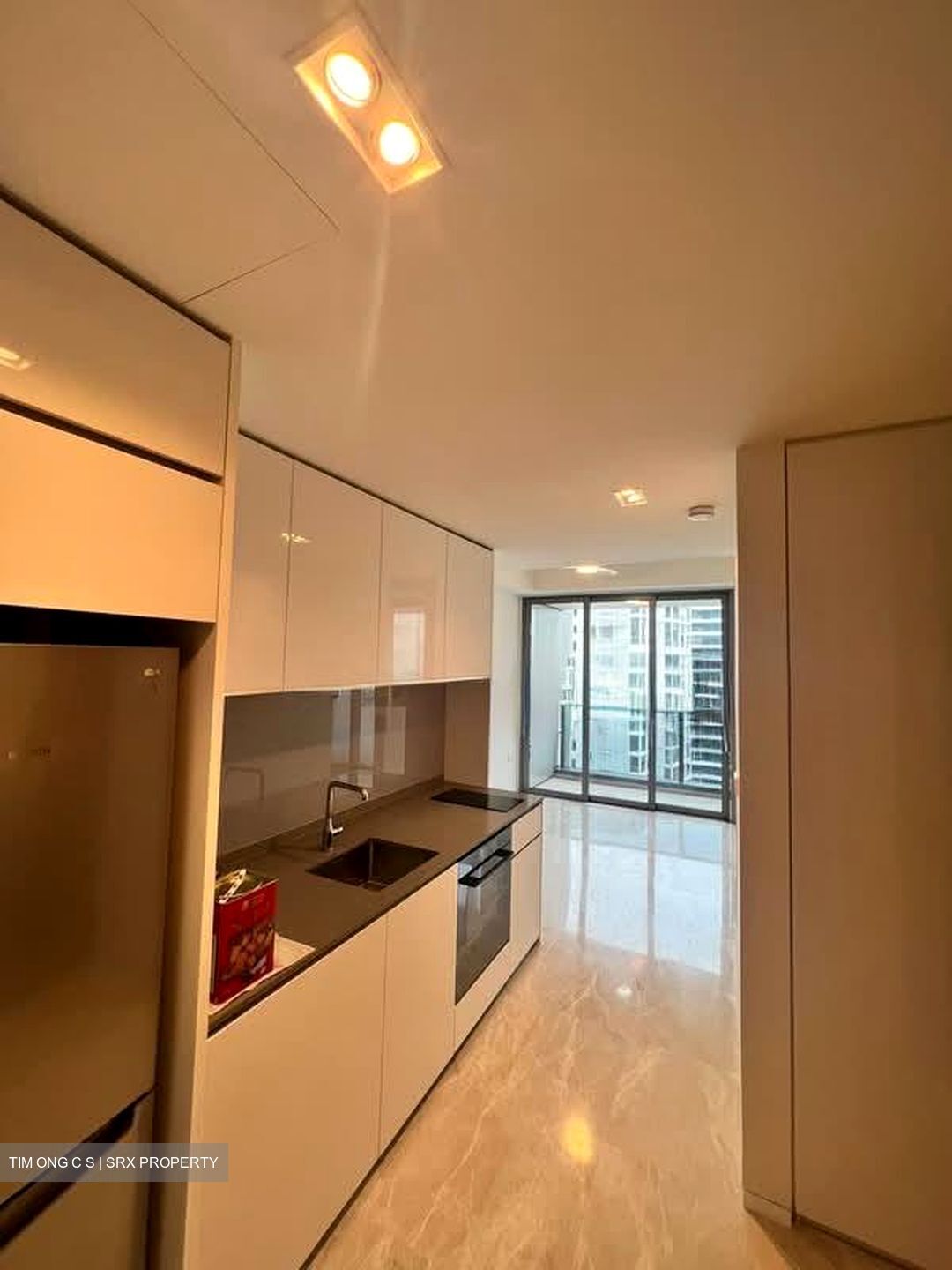 Amber Park (D15), Condominium #574677791